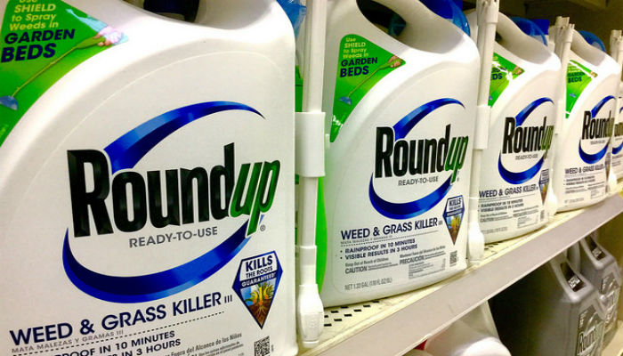 Does RoundUp Cause Cancer?